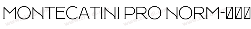 Montecatini Pro Norm字体转换